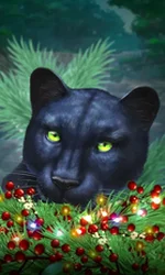 Blue Panther -CE