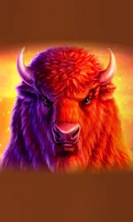 Buffalo 50